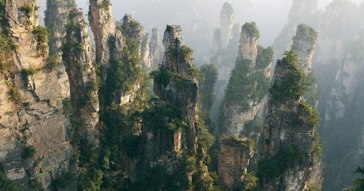 Sandstone pillars covered in forest rising out of morning mist in Zhangjiajie National Forest Park