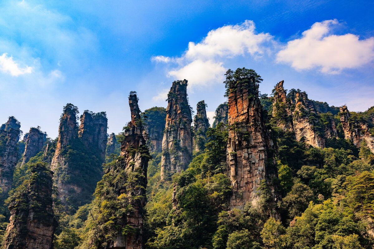 Clusters of tall sandstone pillars topped with pines and greenery under a bright blue sky with white clouds