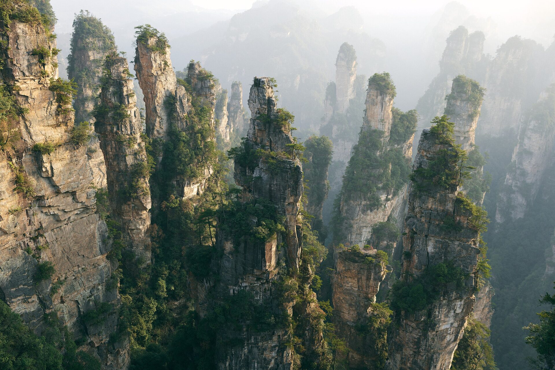 Sandstone pillars covered in forest rising out of morning mist in Zhangjiajie National Forest Park