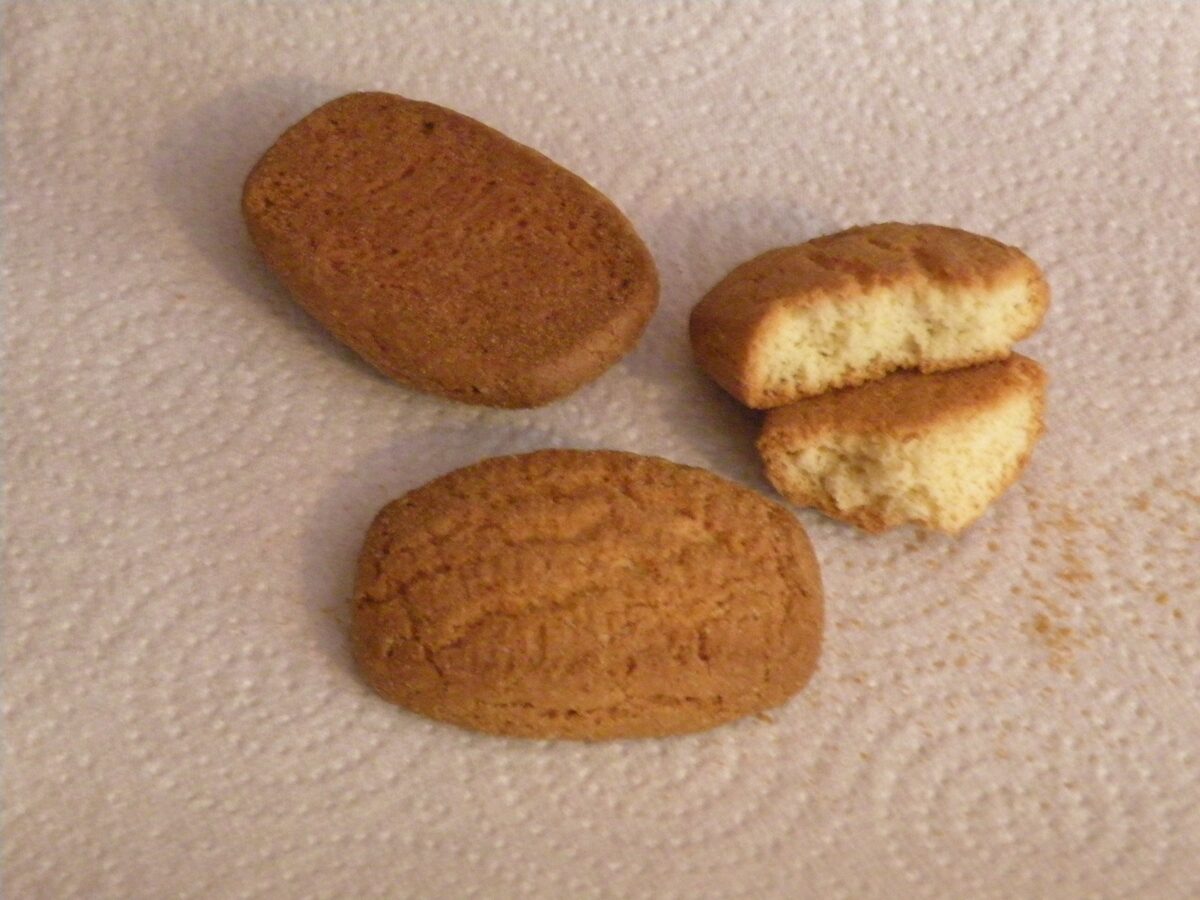 Three dry oval canistrelli biscuits, one broken to show the crumb