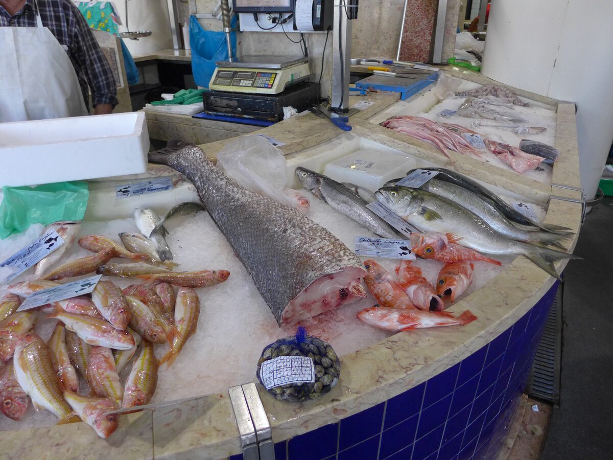 A fish stall in the Lagos municipal market with red mullet, sea bream and a large cut of fish on ice