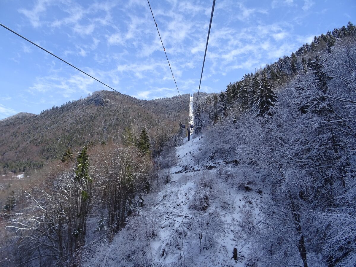 The Eau d'Olle Express gondola line through the snowy forest above Allemond