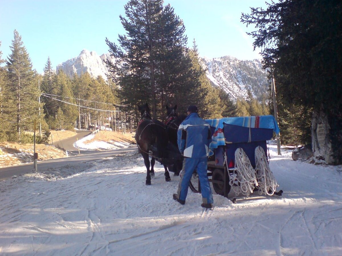 Two dark horses harnessed to a wagon with coiled ropes, a man in a blue ski suit beside it, on a snowy road at Armentarola