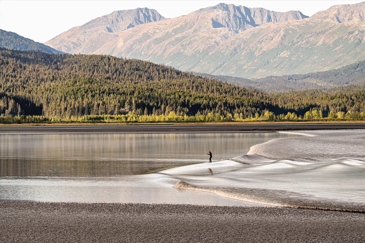 A surfer riding the small bore tide wave across the silty water of Turnagain Arm with forested mountains behind