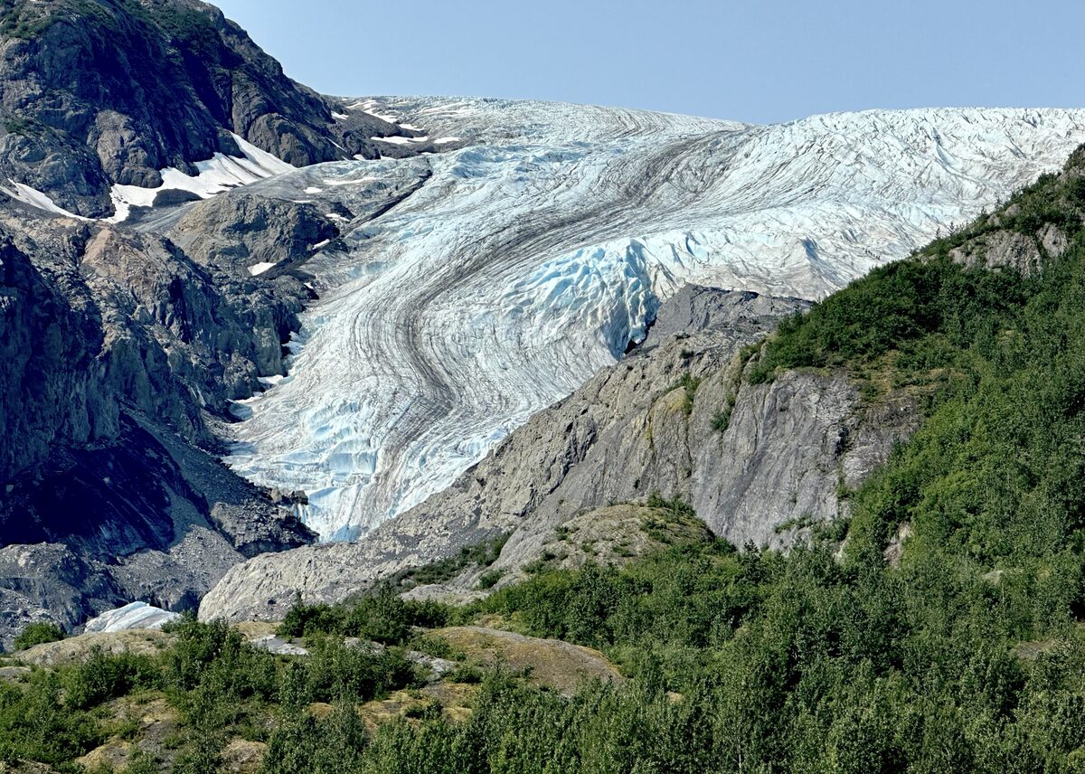 Exit Glacier's blue-white ice tongue flowing down a green valley below the Harding Icefield