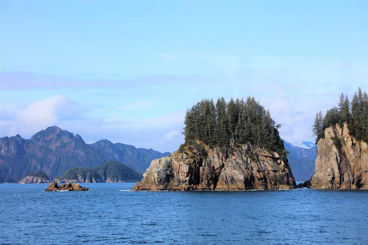 Forested sea stacks rising from the blue water of the Kenai Fjords with mountains behind, seen from a boat