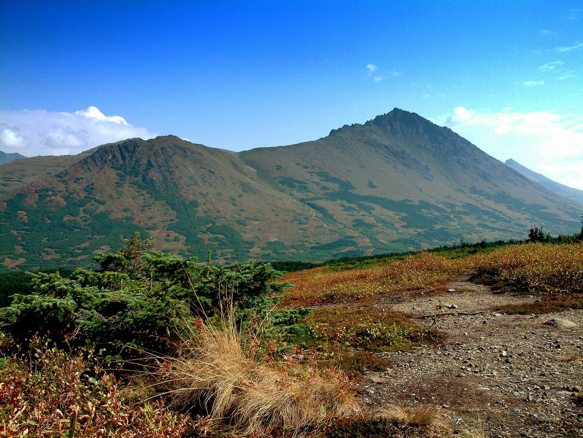 A Chugach peak seen from the Flattop Mountain hike, with autumn tundra and a gravel trail in the foreground