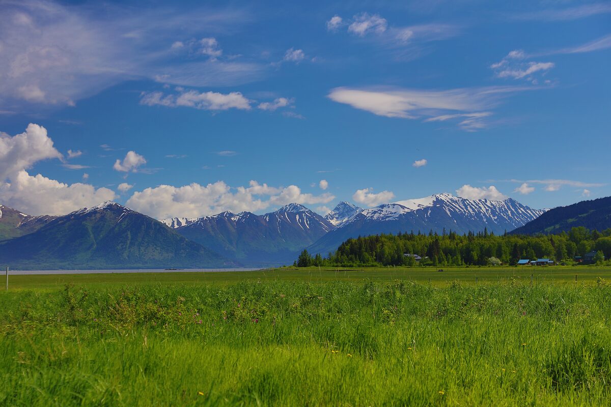 A green meadow at Hope with snow-dusted mountains and summer clouds above Turnagain Arm