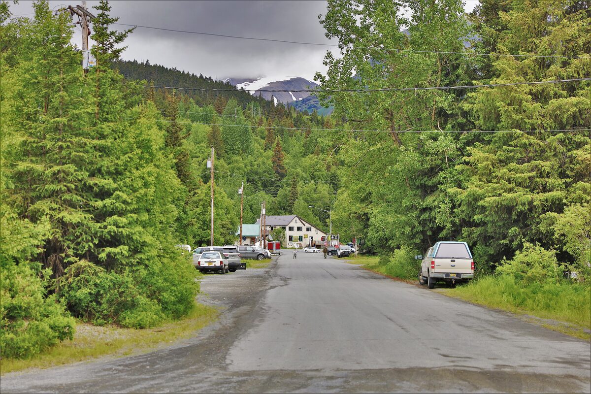 The main street of Moose Pass running between green spruce and birch trees in summer