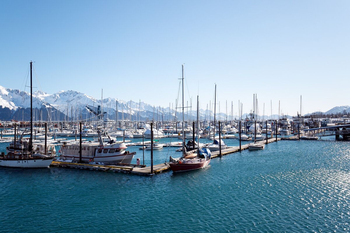 Seward small boat harbor on a sunny day, sailboats and fishing boats in blue water with snowy mountains behind