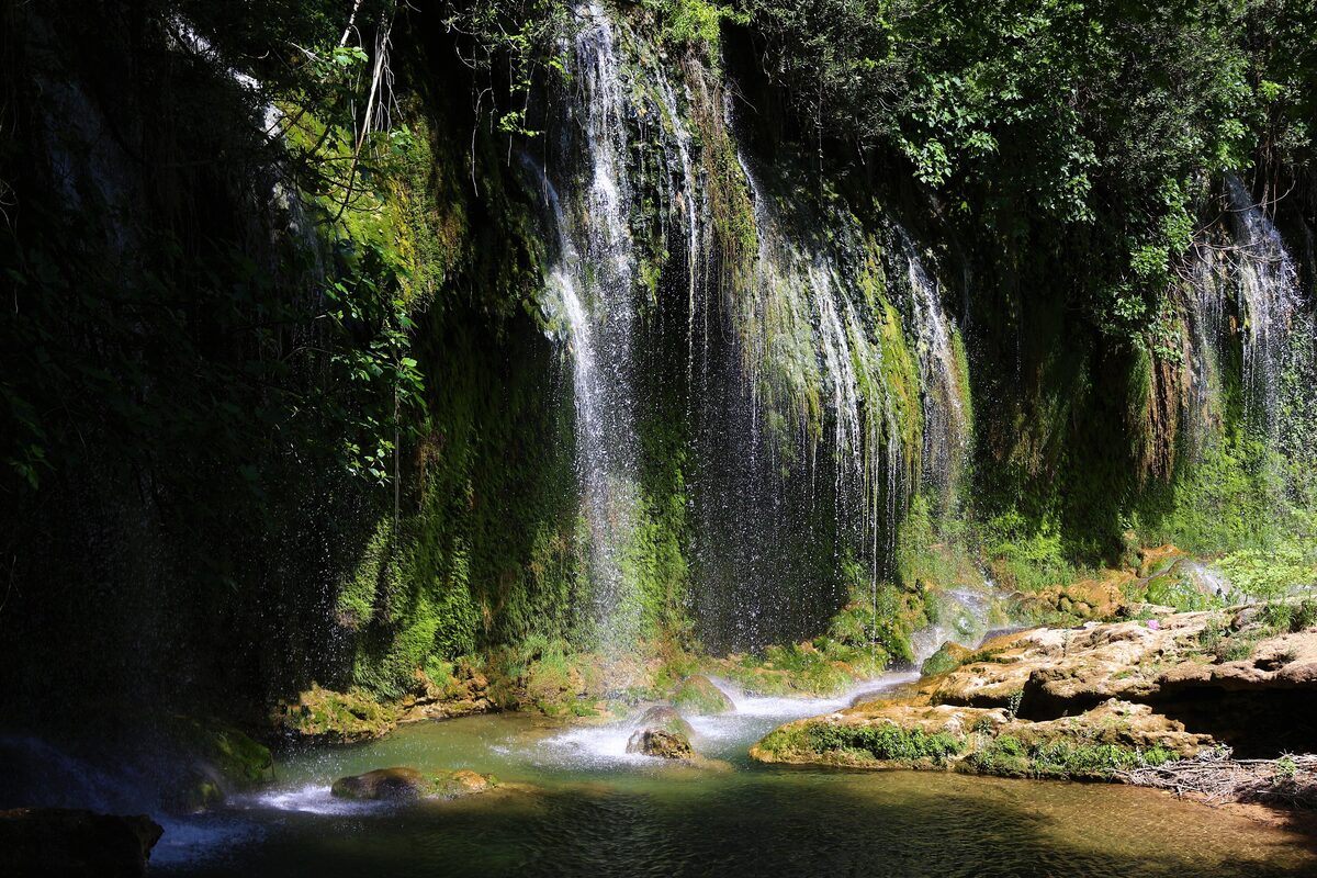 Thin curtains of water falling down a mossy rock wall into a green pool at Kurşunlu, in thick forest
