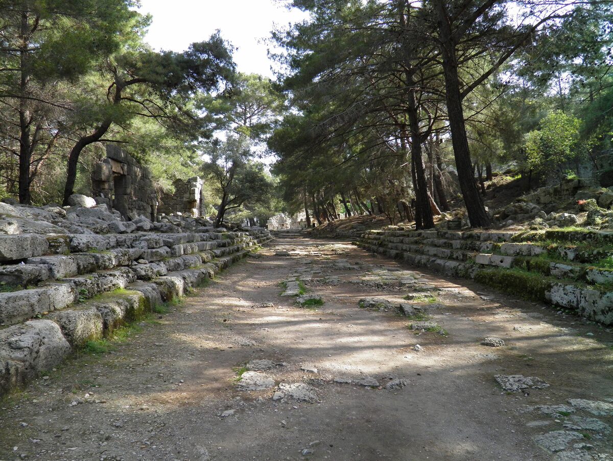 The paved main street of Phaselis, lined with stepped stone seating and shaded by tall pines