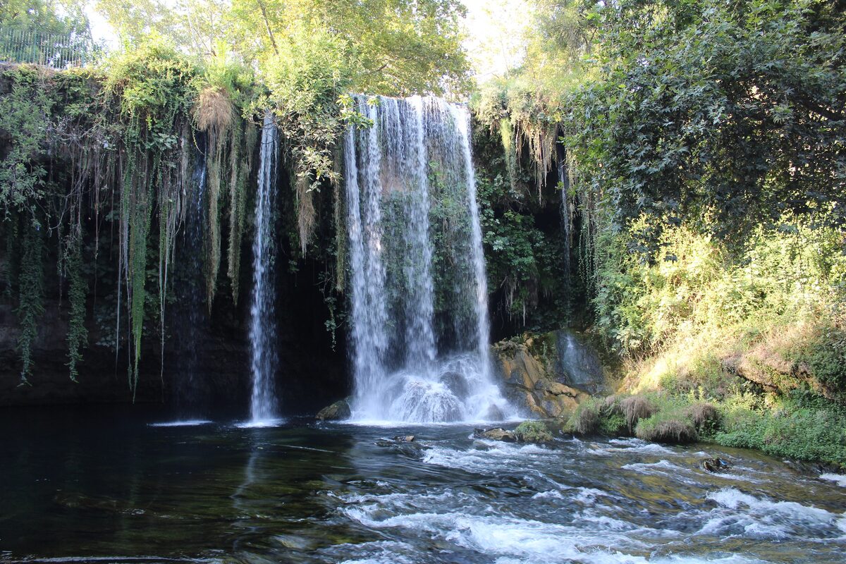 The Upper Düden waterfall falling from a ferny overhang into a dark pool in a green park
