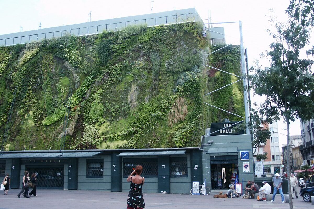 The north wall of Les Halles d'Avignon covered in a vertical garden of green plants above the market's dark entrance