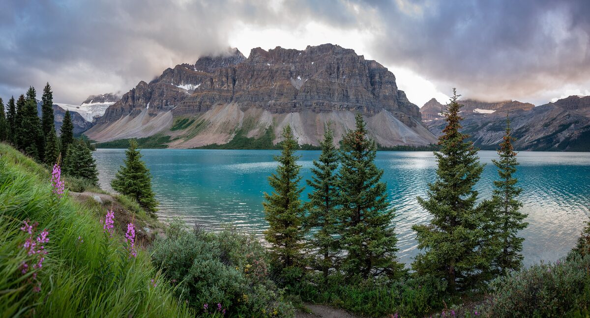 Turquoise Bow Lake under a cliff-topped peak with pink wildflowers in front