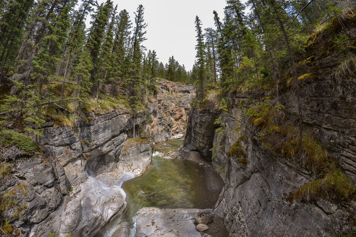 Looking down the narrow, forest-rimmed limestone slot of Maligne Canyon