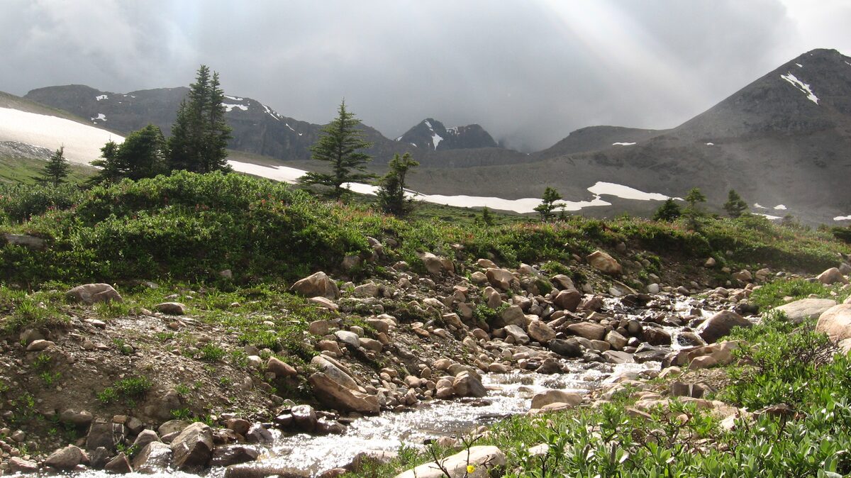 Green alpine meadow with a creek and late snow patches