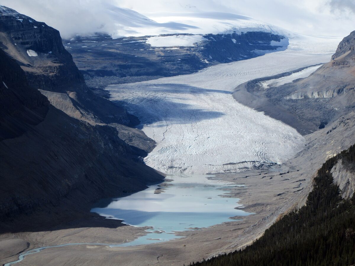 The Saskatchewan Glacier and its milky lake seen from Parker Ridge