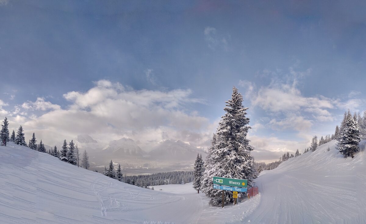 A wide groomed run at Lake Louise Ski Resort, with a snow-laden spruce, a trail sign and the Bow Valley mountains beyond