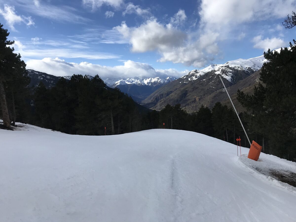 A groomed run through pine forest with a snow gun and a valley view at Baqueira-Beret