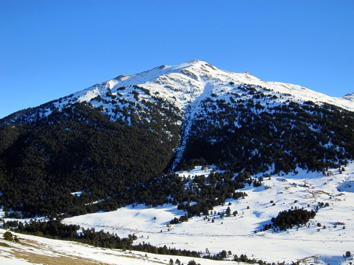 The snow-covered peak of Tuc deth Dossau above a dark pine forest