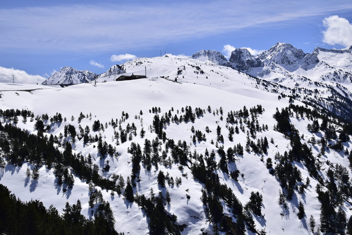 Snowy slopes and pine woods on the Bonaigua pass under a blue sky