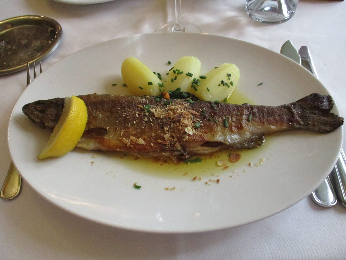 A whole pan-fried trout with a lemon wedge, herbs and boiled potatoes on a white plate