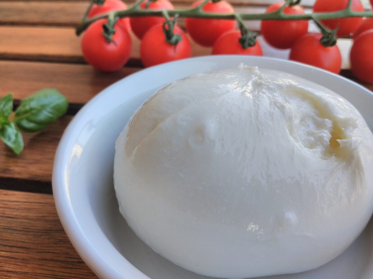 A ball of fresh burrata in a white dish, with cherry tomatoes on the vine and basil behind