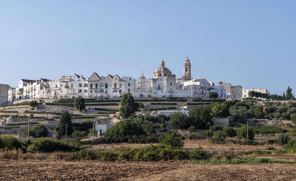 The white hill town of Locorotondo, its churches and houses rising above the olive groves