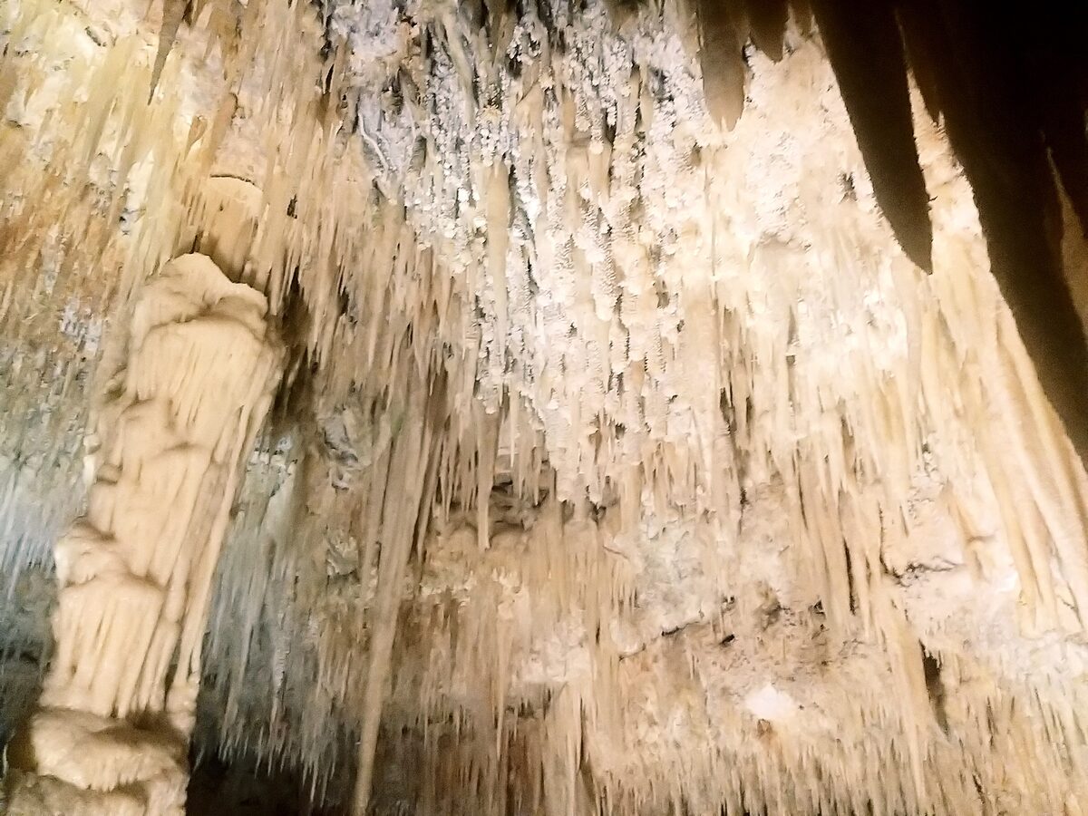 Pale stalactites and a stone column inside the Grotte di Castellana