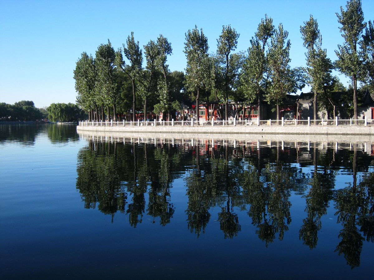 Tall poplars along the shore of a lake in the Shichahai area, reflected in calm water under a blue sky