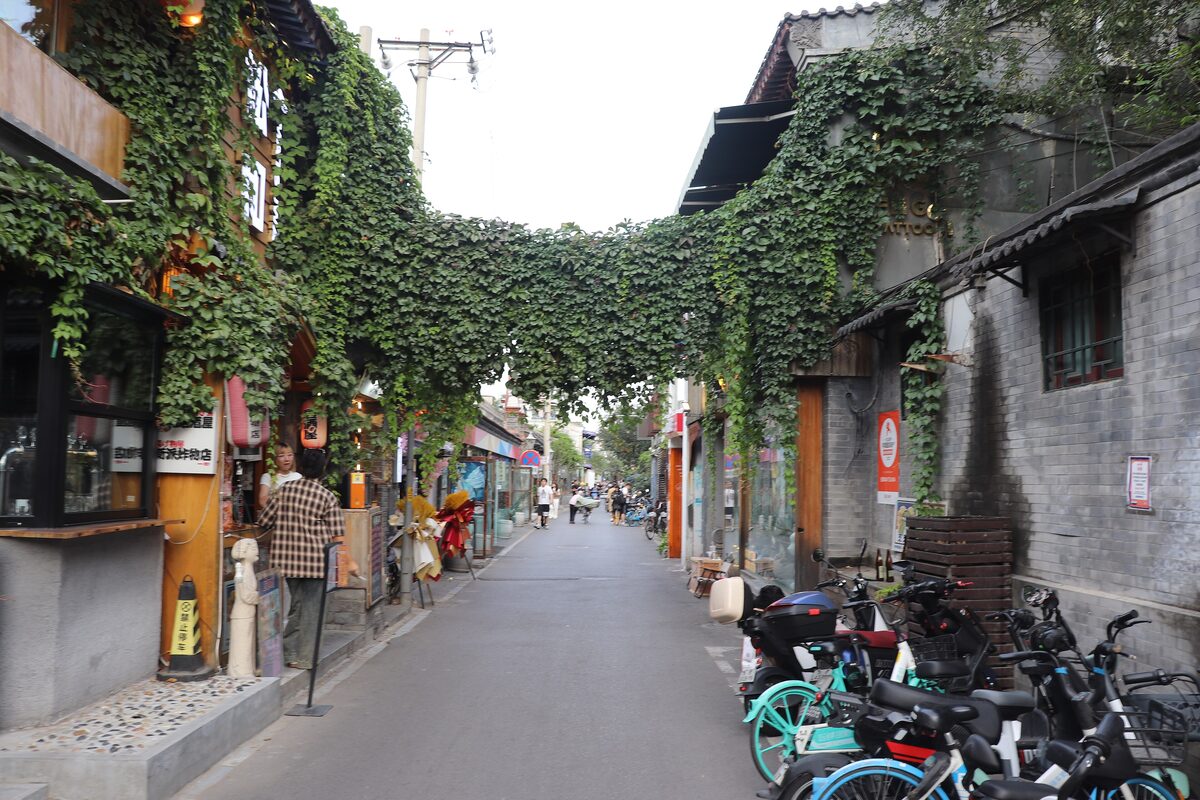 Wudaoying Hutong, a narrow lane with shops under a canopy of ivy and bicycles parked along the side
