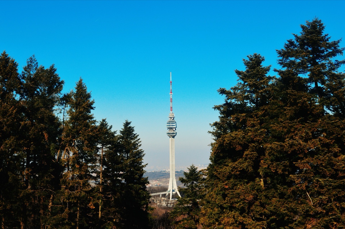 Avala Tower with its red and white antenna rising between pine trees against a deep blue sky
