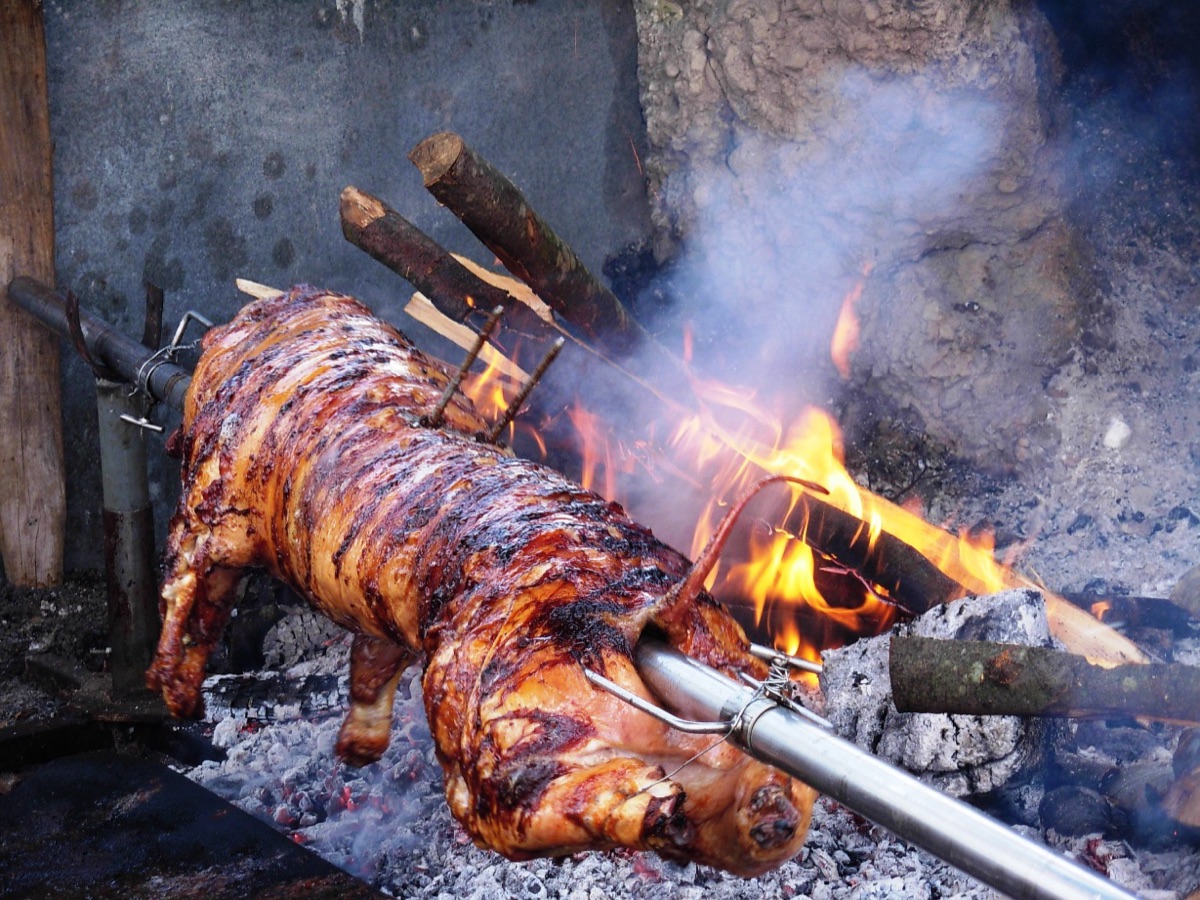 A whole suckling pig roasting golden brown on a spit over a wood fire