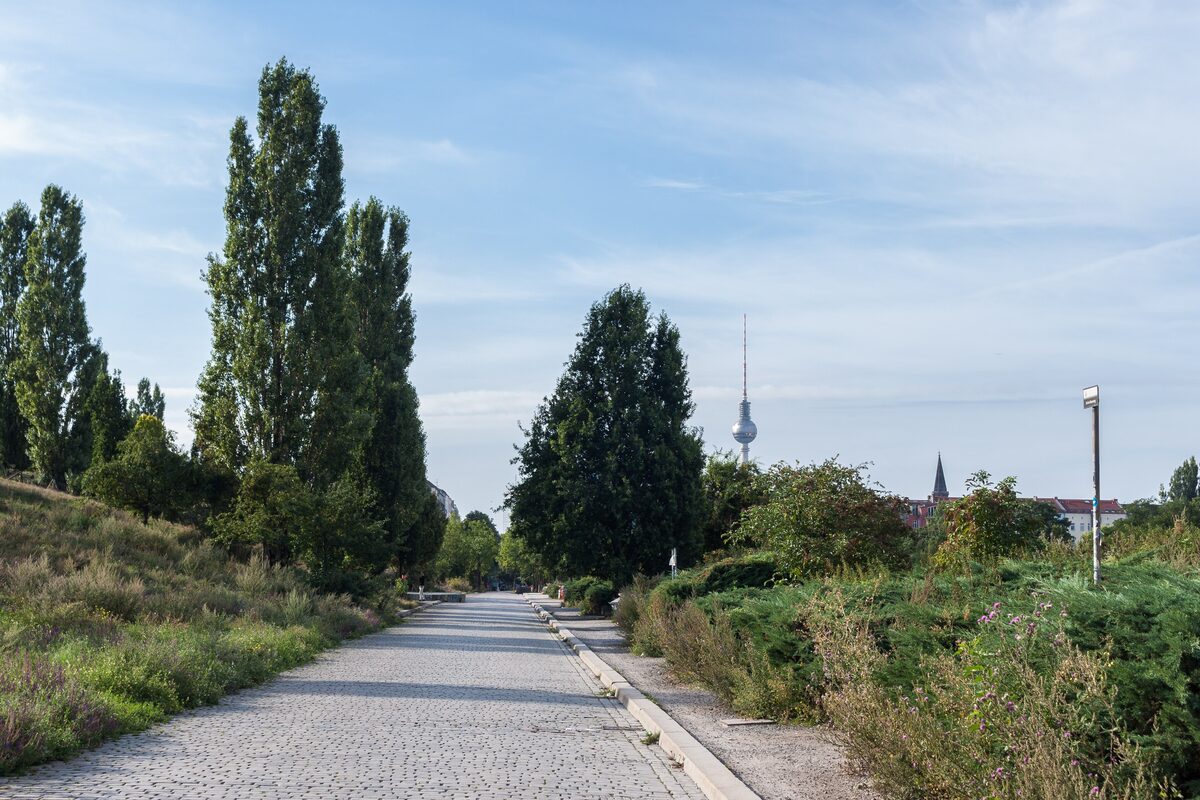 A paved path through the Mauerpark between poplars and shrubs, with the TV Tower in the distance
