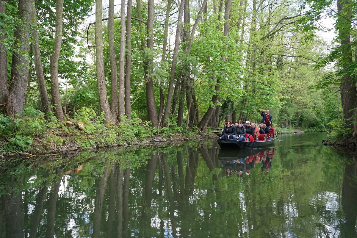 A flat-bottomed boat of passengers gliding along a narrow green canal between tall trees in the Spreewald
