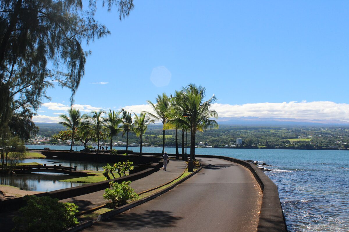 Palm-lined seawall walk beside Hilo Bay on a sunny day