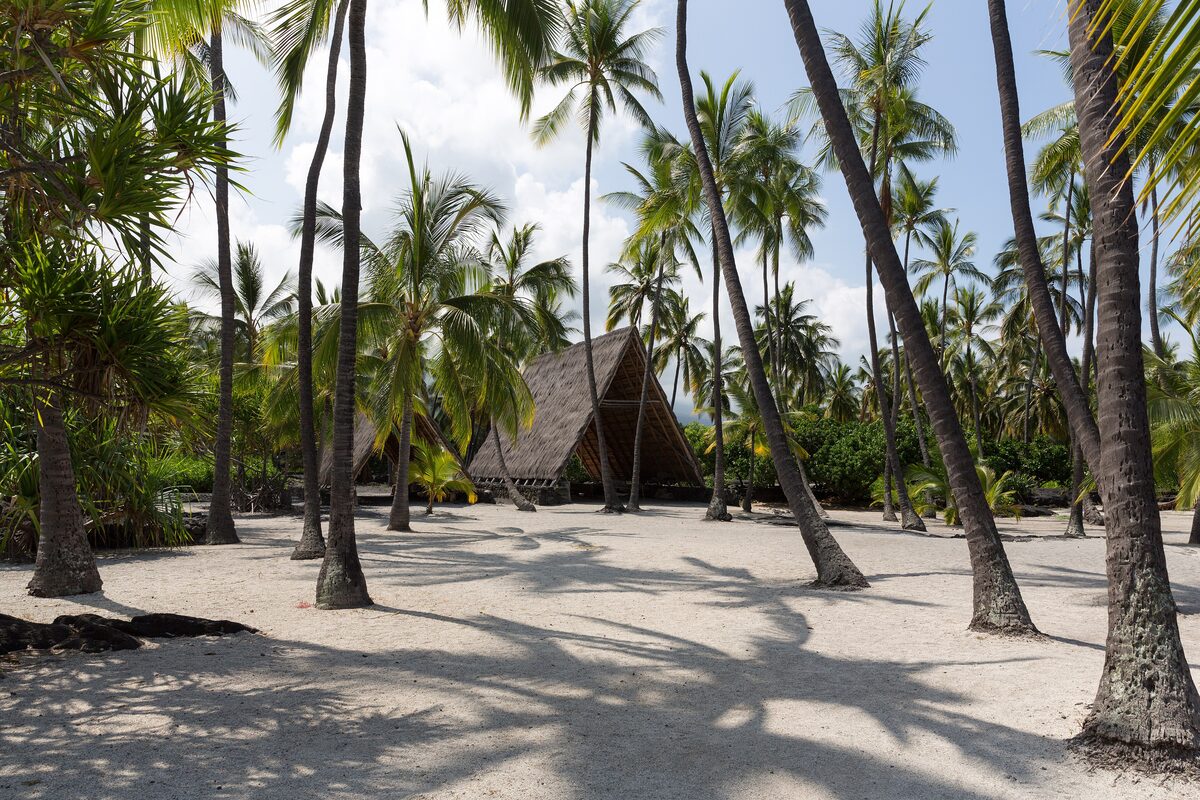 Palm trees shading white sand and a thatched hale at Hōnaunau