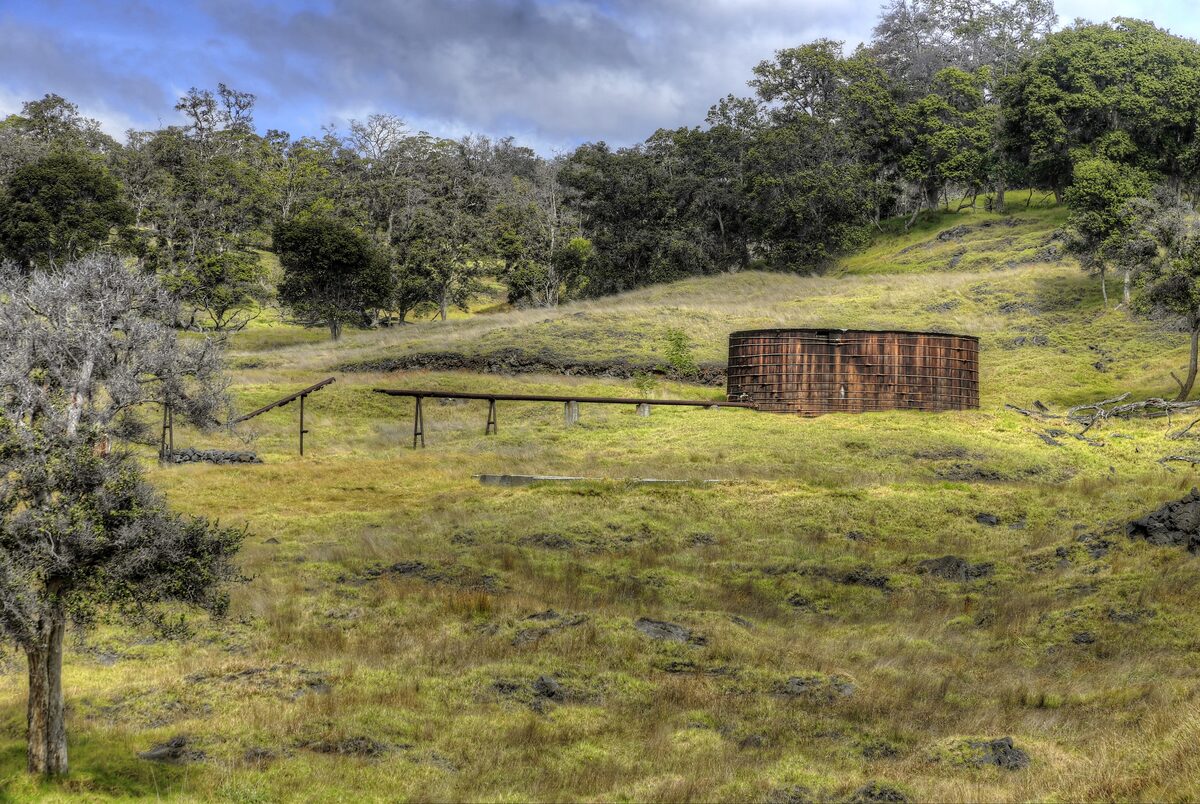 Grassy Kahuku pasture with an old ranch water tank