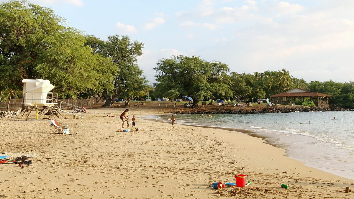 Sandy Spencer Beach with trees, a lifeguard tower and calm water