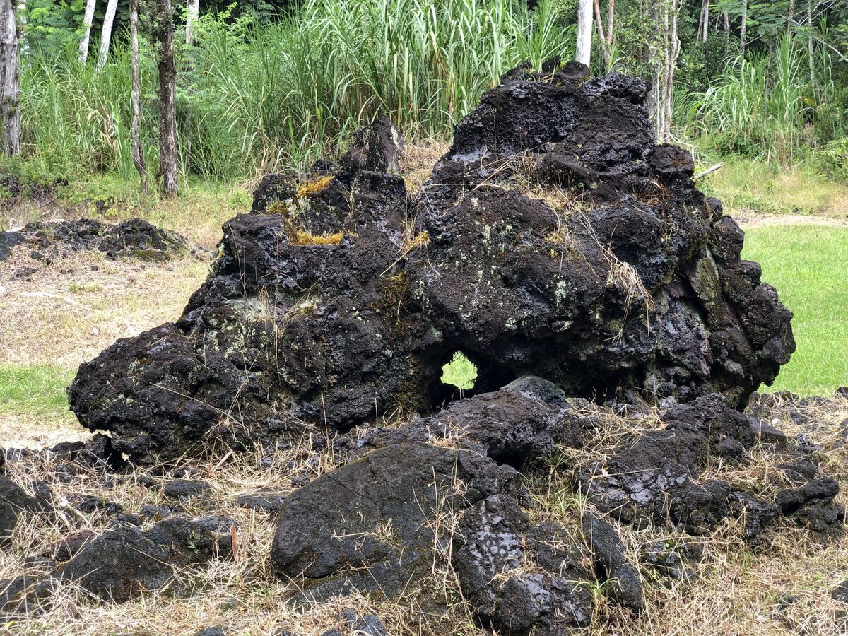 Black lava tree mold standing in a green clearing