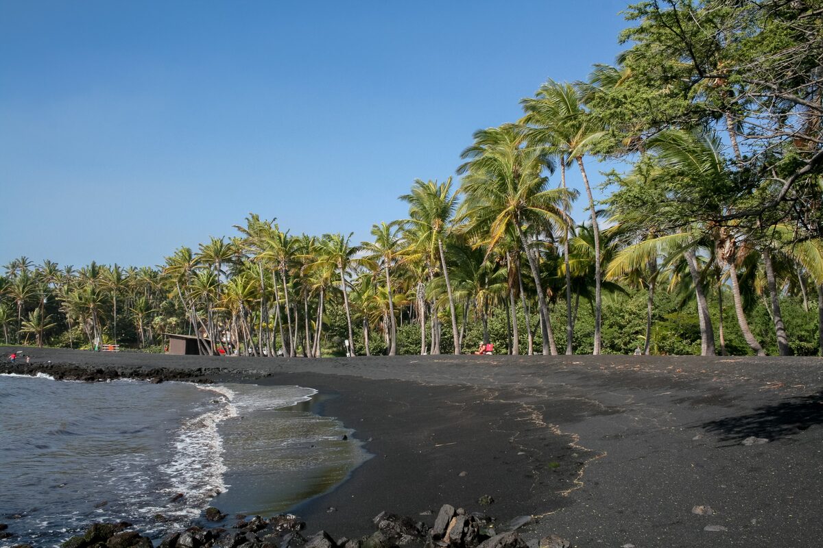 Palm trees above black sand and waves at Punaluʻu