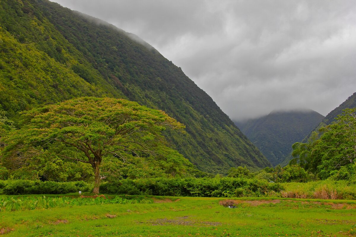 Steep green walls of Waipiʻo Valley under low grey cloud