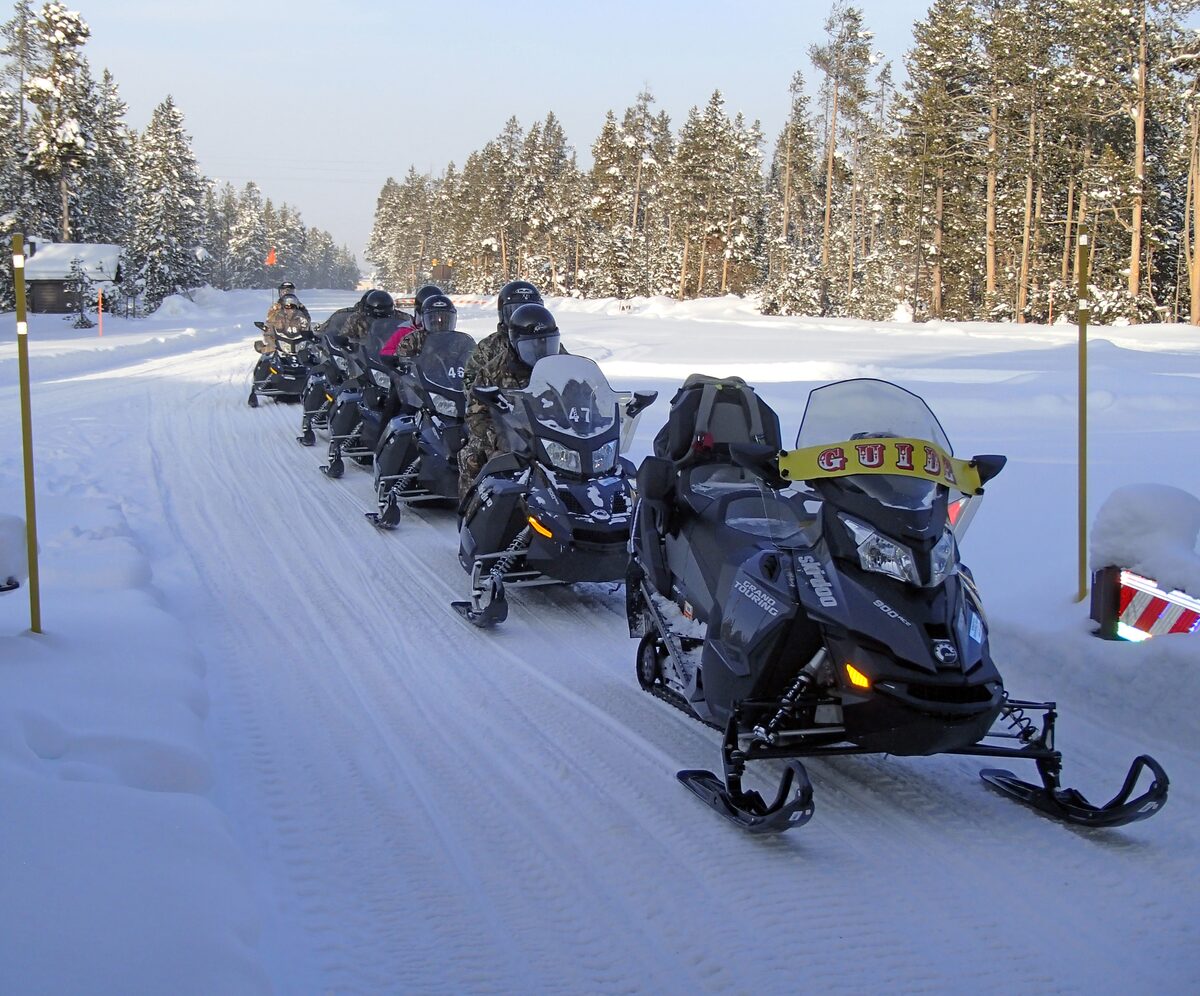 A line of snowmobiles parked on a packed snow road in the spruce forest near the West Entrance