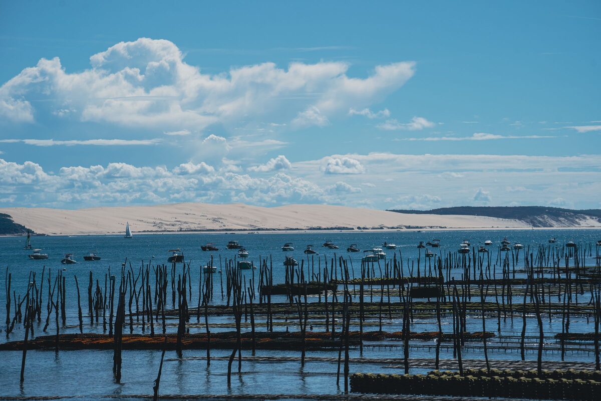Rows of wooden oyster-farm stakes in the calm water of Arcachon Bay with small boats, and the pale line of the Dune du Pilat on the horizon