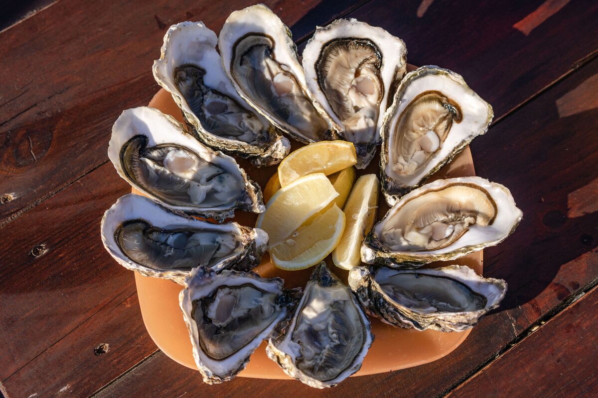 A plate of fresh oysters on the half shell with slices of lemon in the middle, on a wooden table