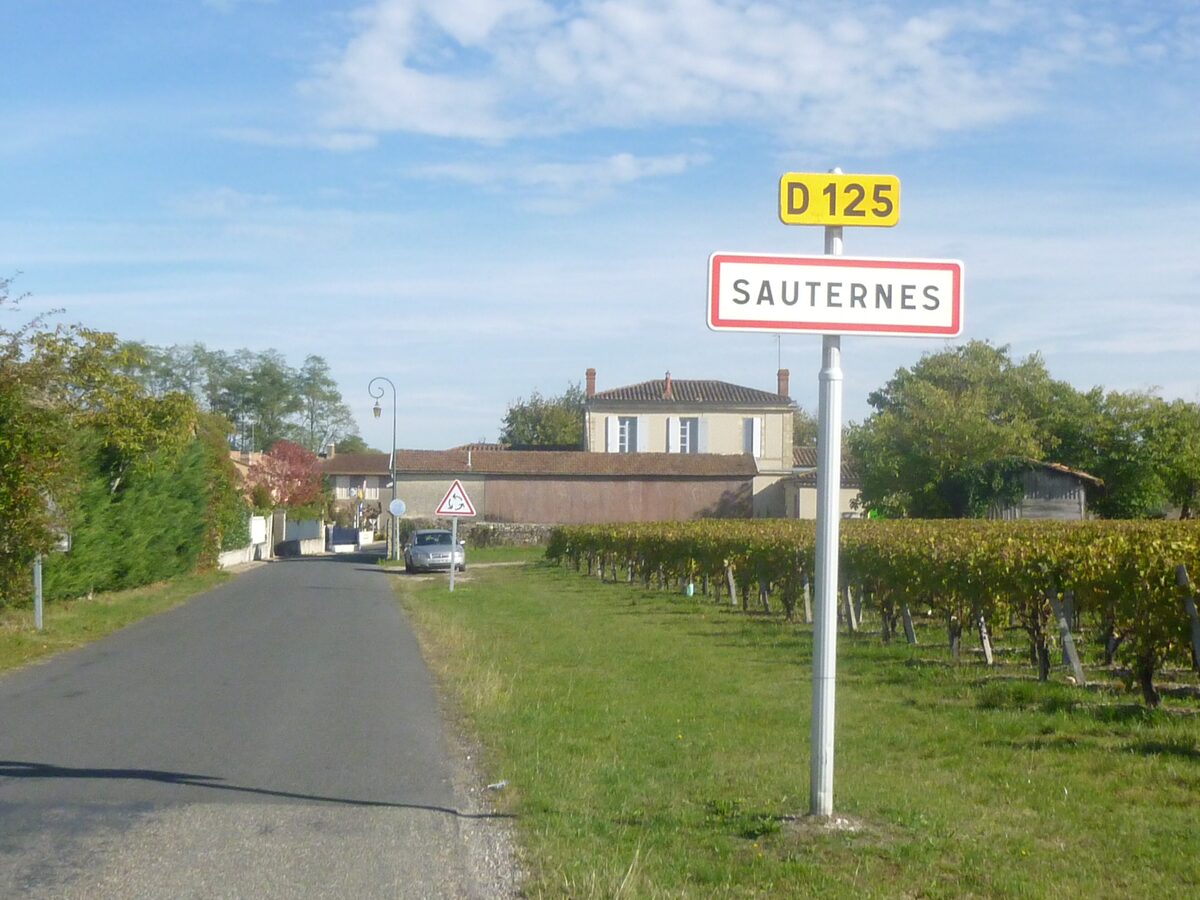A country road into the village of Sauternes with a road sign, a vineyard on the right and a stone house behind