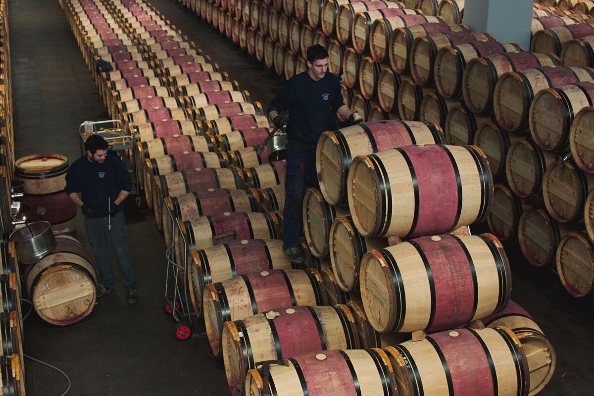Long rows of oak wine barrels with red-stained middles in a château cellar, with two cellar workers among them