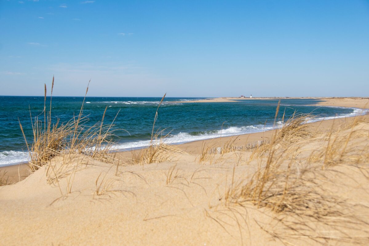 Dune grass and a sandy beach on the Cape Cod shore