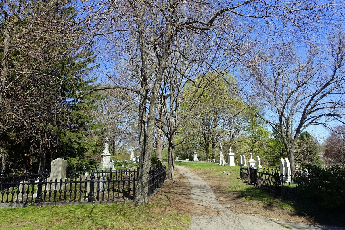 A footpath between old monuments and spring trees in Mount Auburn Cemetery
